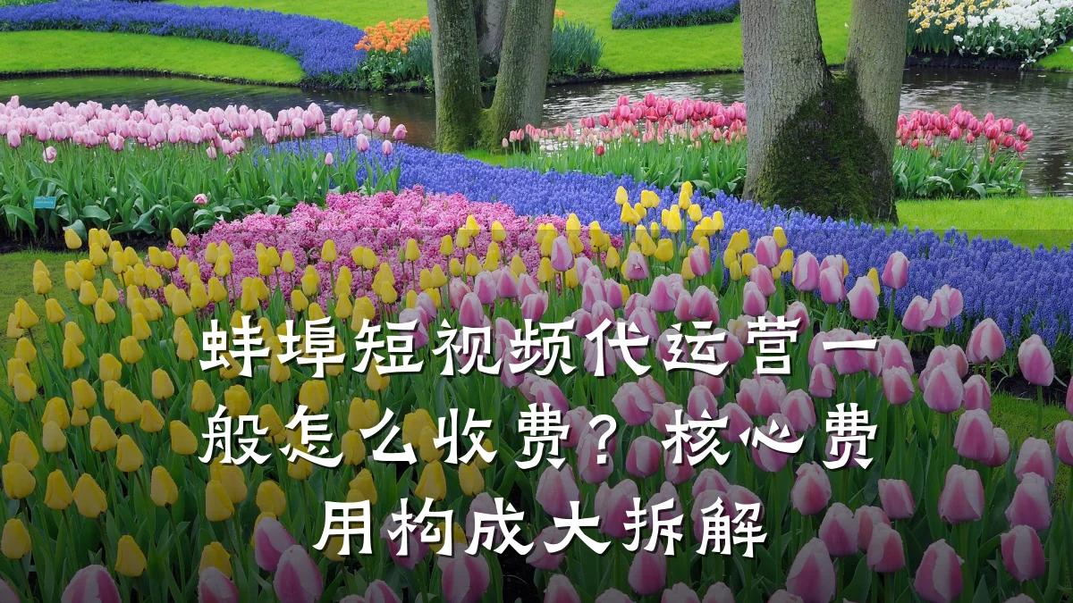 蚌埠短视频代运营一般怎么收费？核心费用构成大拆解