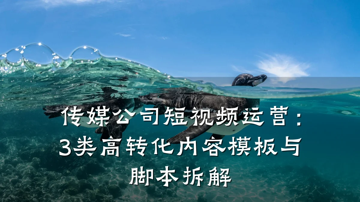 传媒公司短视频运营：3类高转化内容模板与脚本拆解