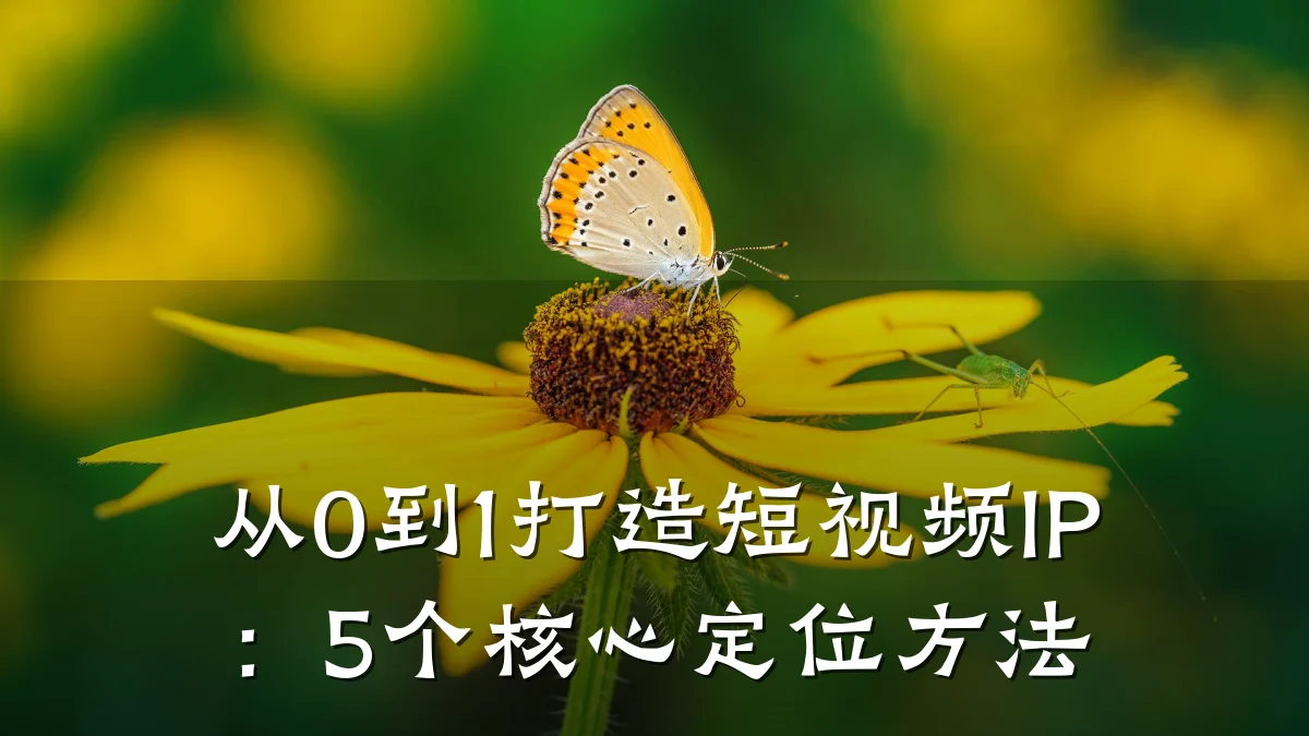 从0到1打造短视频IP：5个核心定位方法