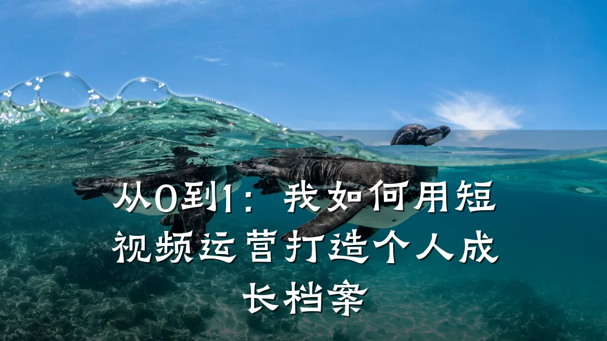 从0到1：我如何用短视频运营打造个人成长档案