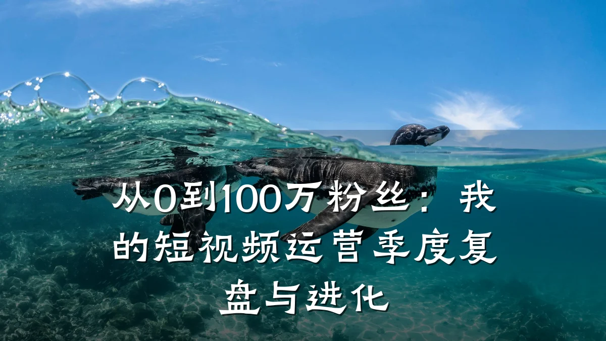 从0到100万粉丝：我的短视频运营季度复盘与进化