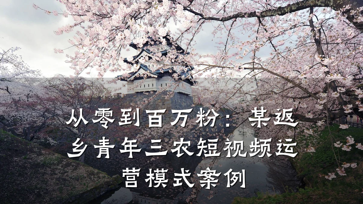 从零到百万粉：某返乡青年三农短视频运营模式案例