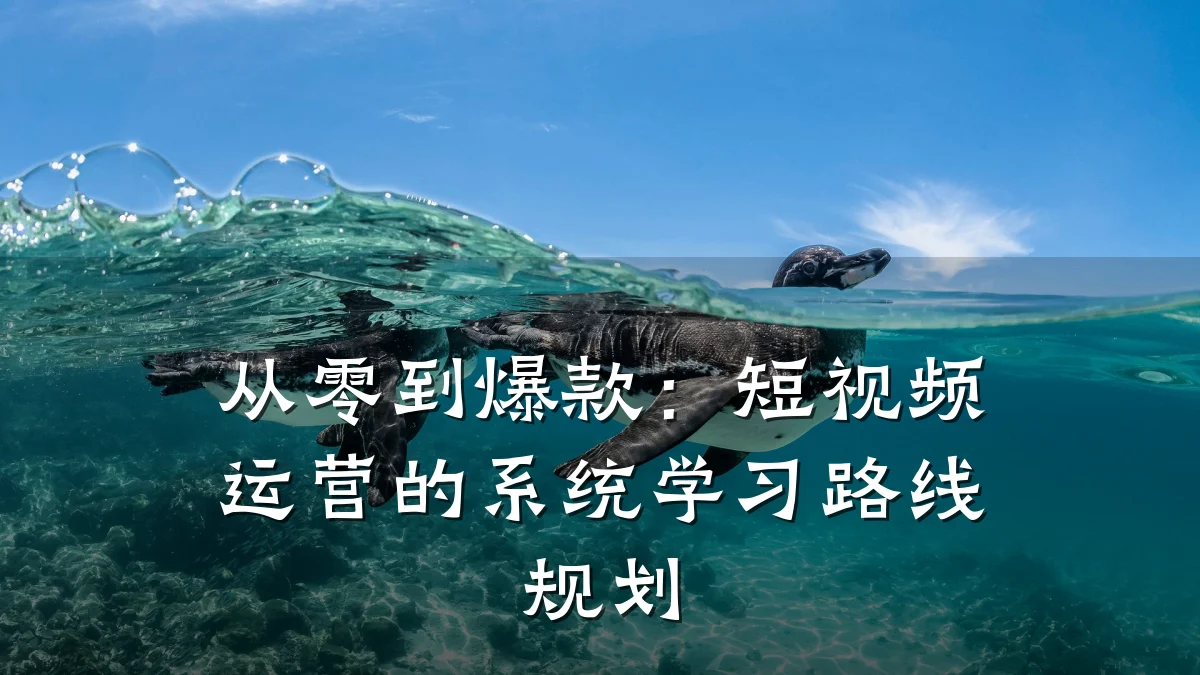从零到爆款：短视频运营的系统学习路线规划