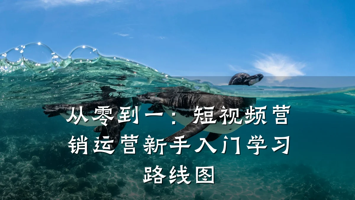 从零到一：短视频营销运营新手入门学习路线图
