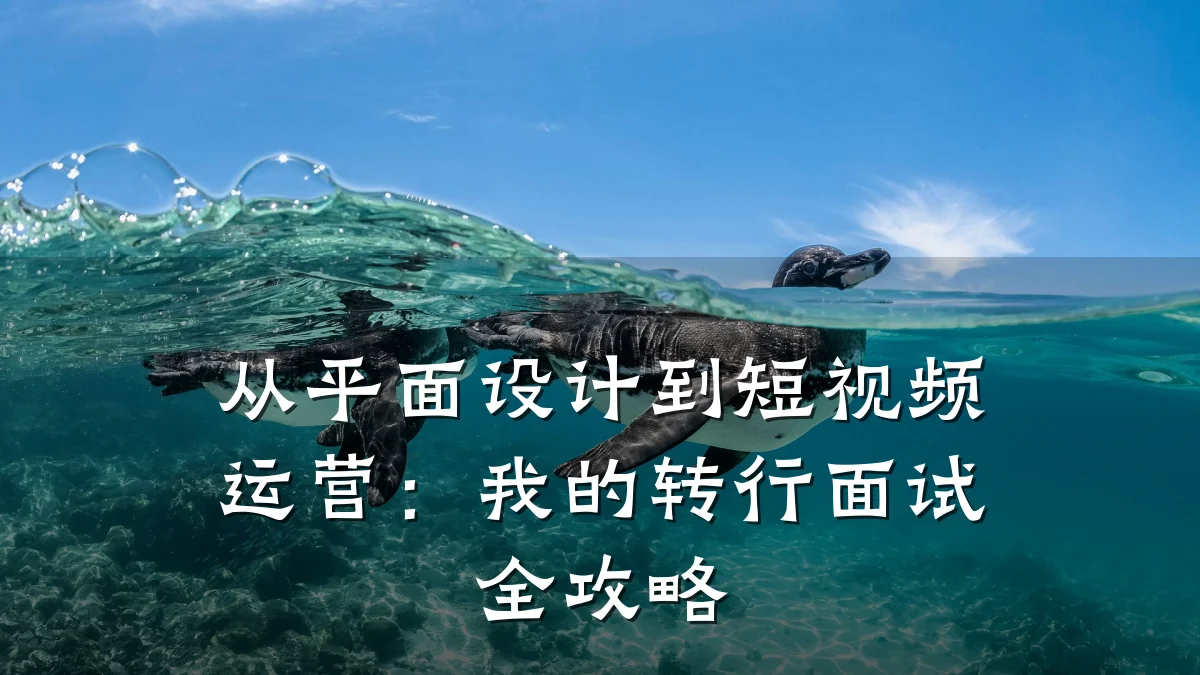 从平面设计到短视频运营：我的转行面试全攻略