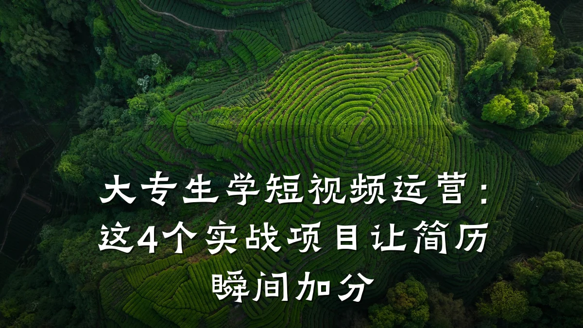 大专生学短视频运营：这4个实战项目让简历瞬间加分