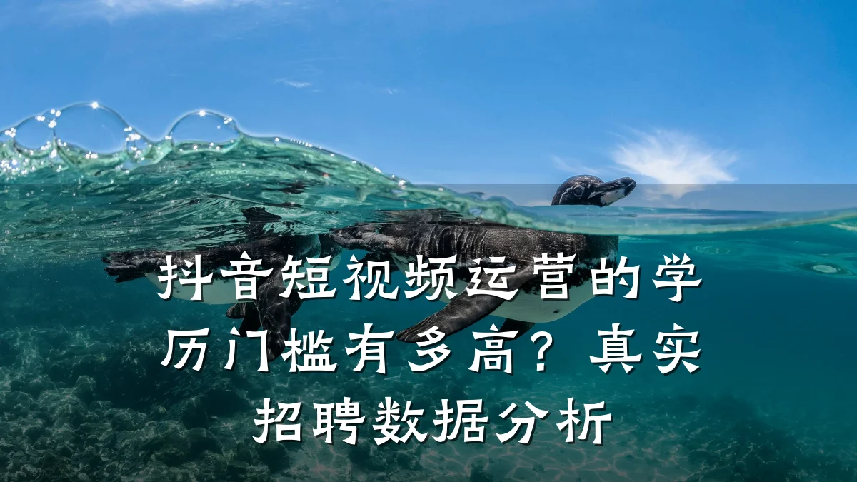 抖音短视频运营的学历门槛有多高？真实招聘数据分析