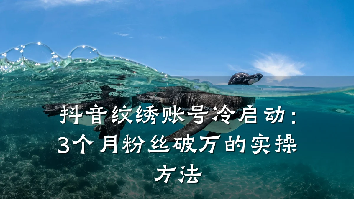 抖音纹绣账号冷启动：3个月粉丝破万的实操方法