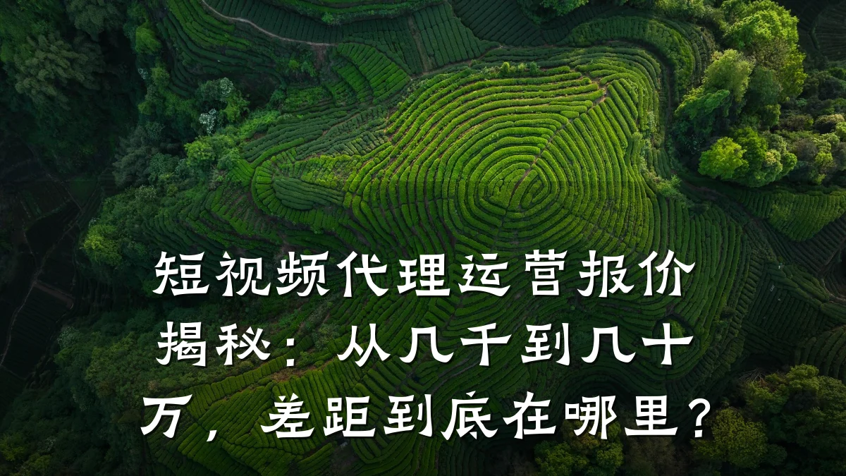短视频代理运营报价揭秘：从几千到几十万，差距到底在哪里？
