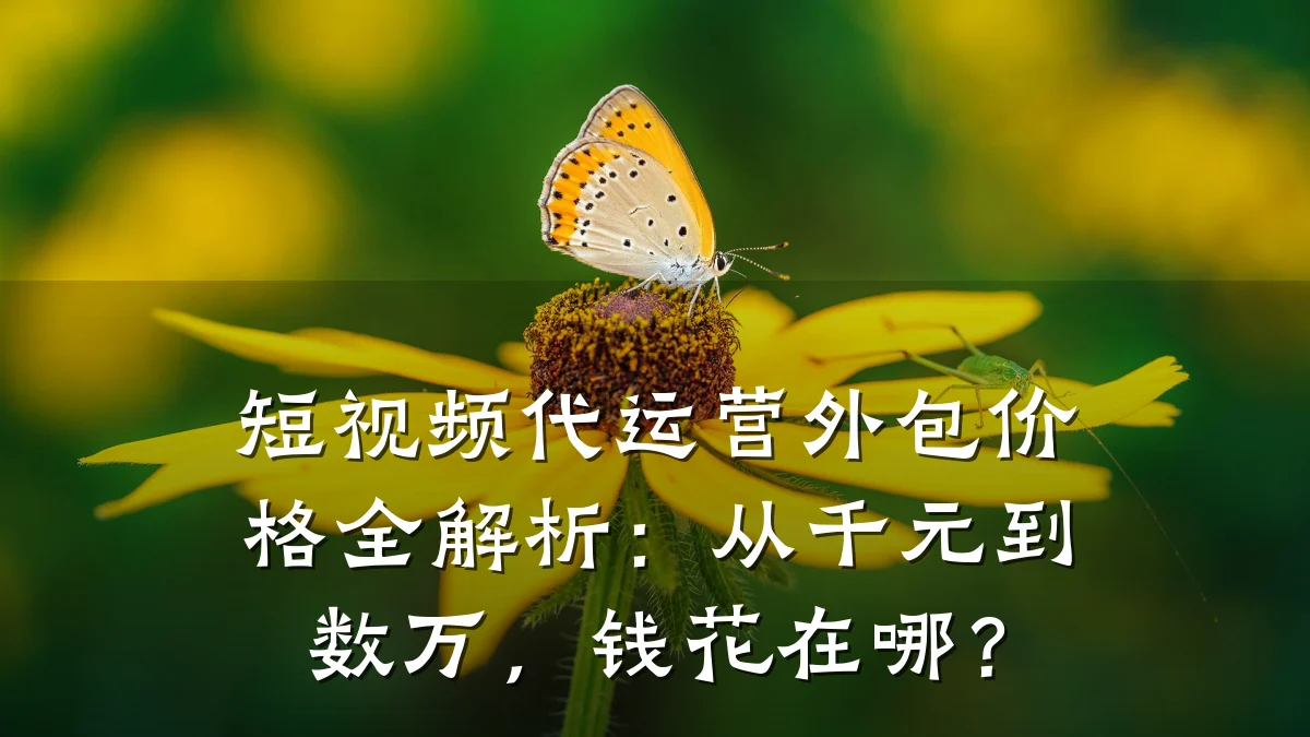 短视频代运营外包价格全解析：从千元到数万，钱花在哪？