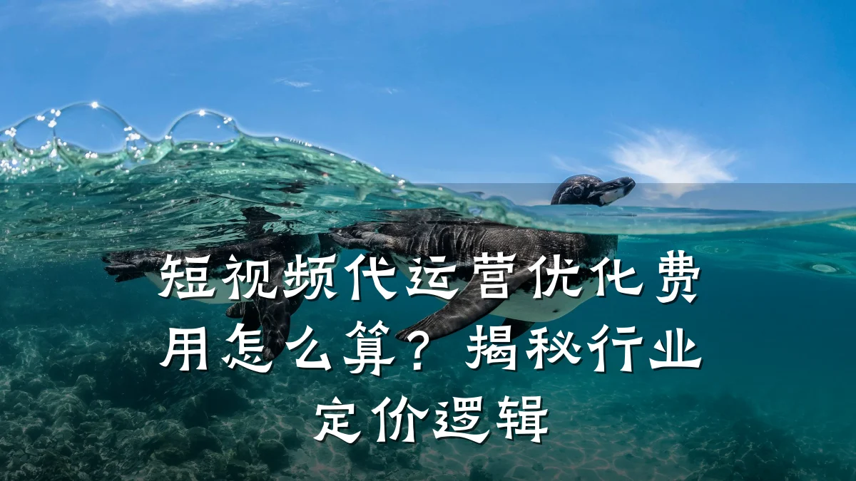 短视频代运营优化费用怎么算？揭秘行业定价逻辑