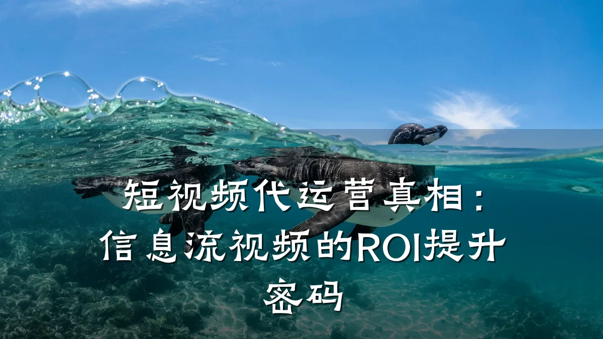 短视频代运营真相：信息流视频的ROI提升密码