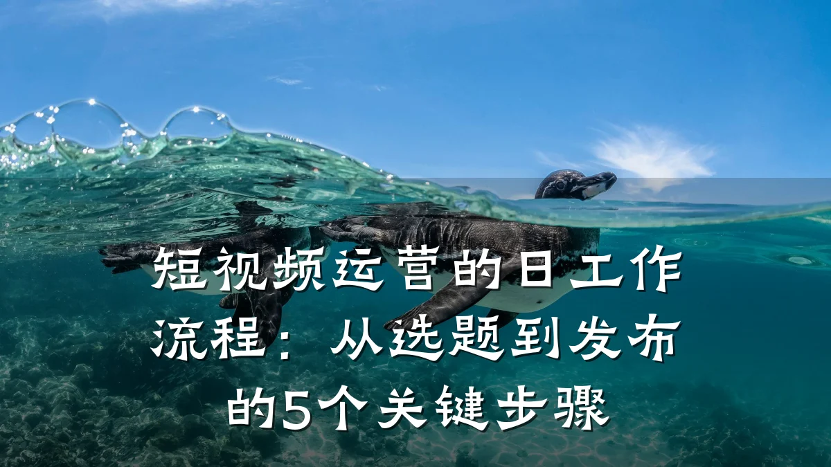 短视频运营的日工作流程：从选题到发布的5个关键步骤