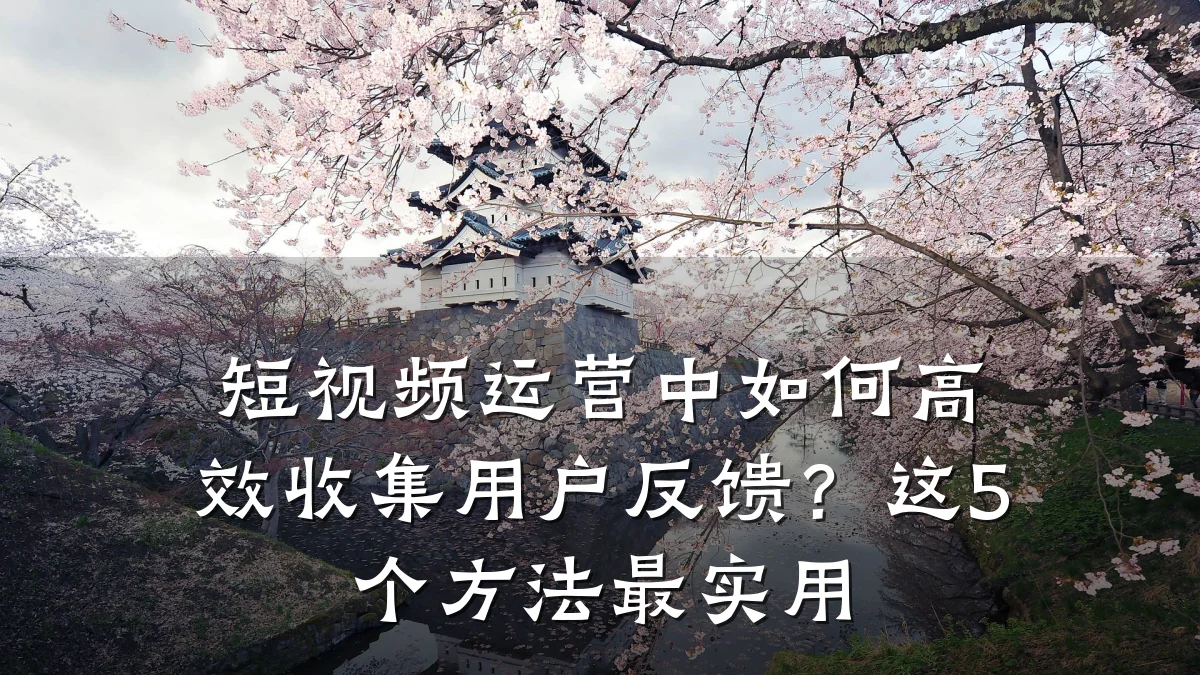 短视频运营中如何高效收集用户反馈？这5个方法最实用