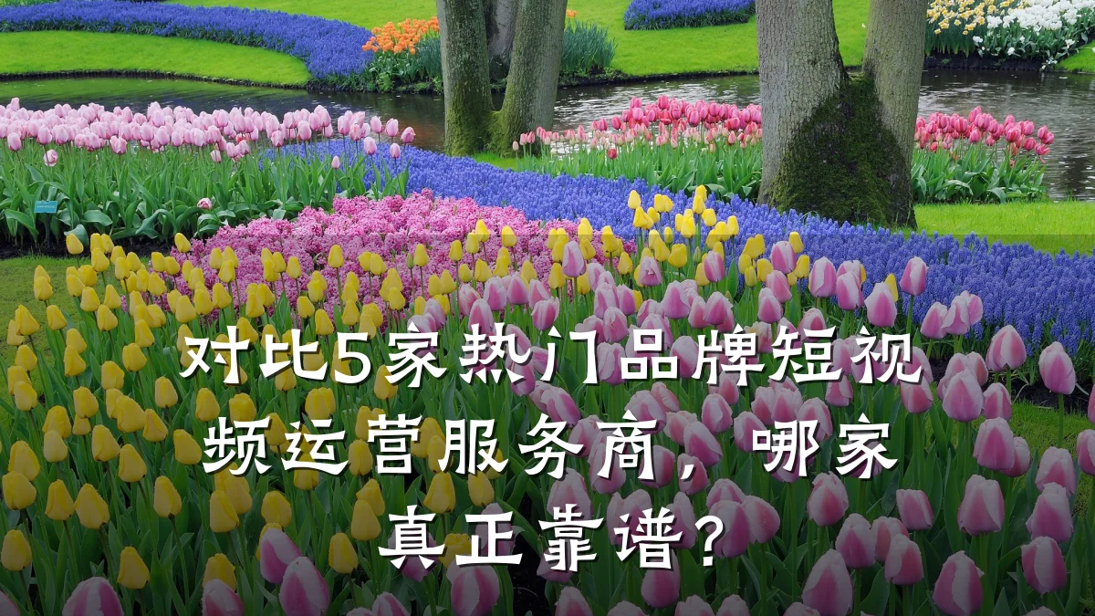 对比5家热门品牌短视频运营服务商，哪家真正靠谱？