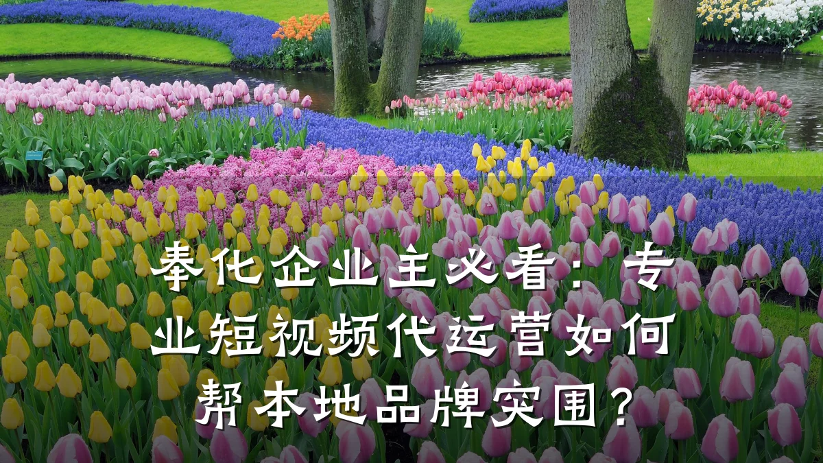 奉化企业主必看：专业短视频代运营如何帮本地品牌突围？