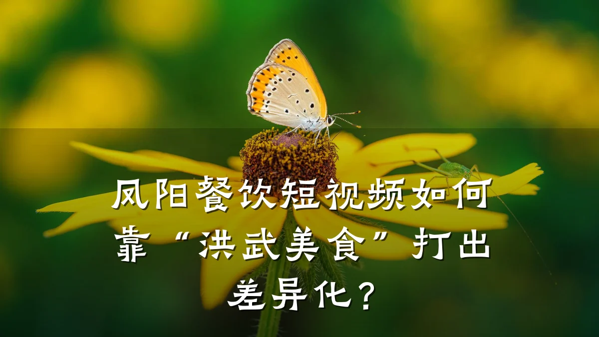 凤阳餐饮短视频如何靠“洪武美食”打出差异化？