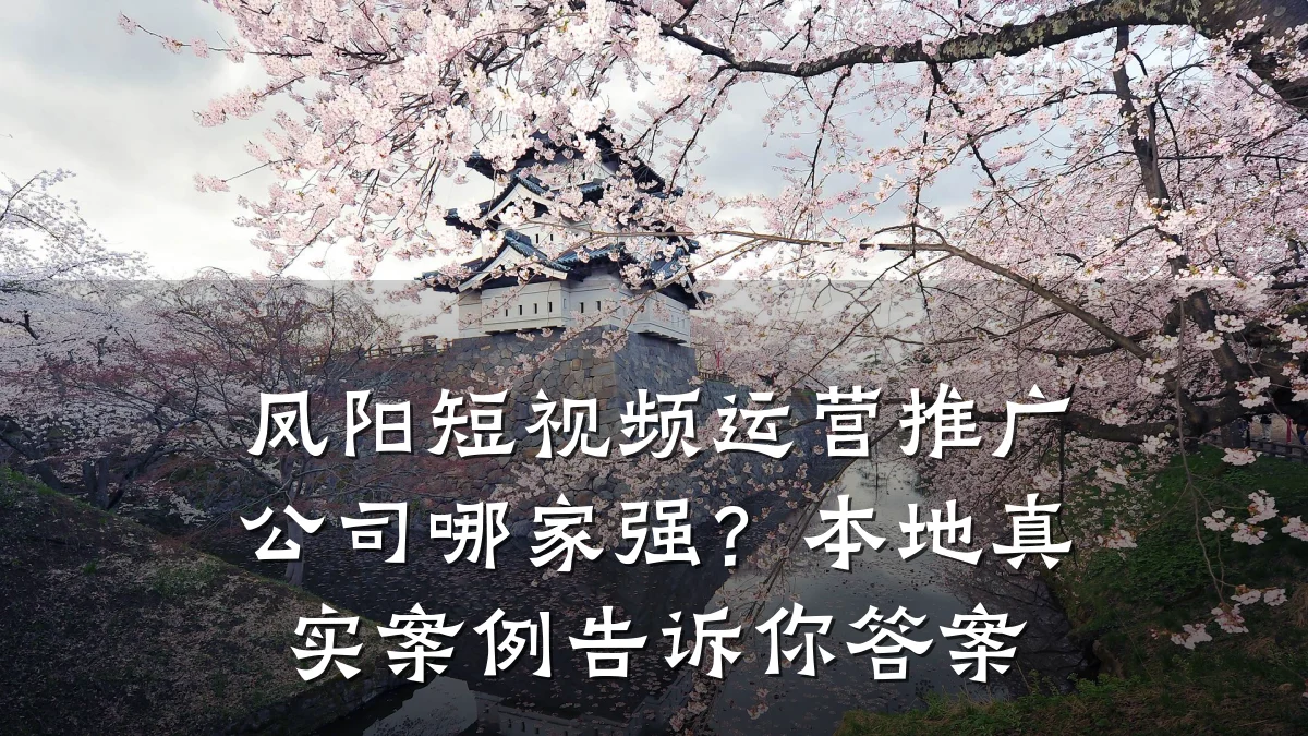 凤阳短视频运营推广公司哪家强?本地真实案例告诉你答案