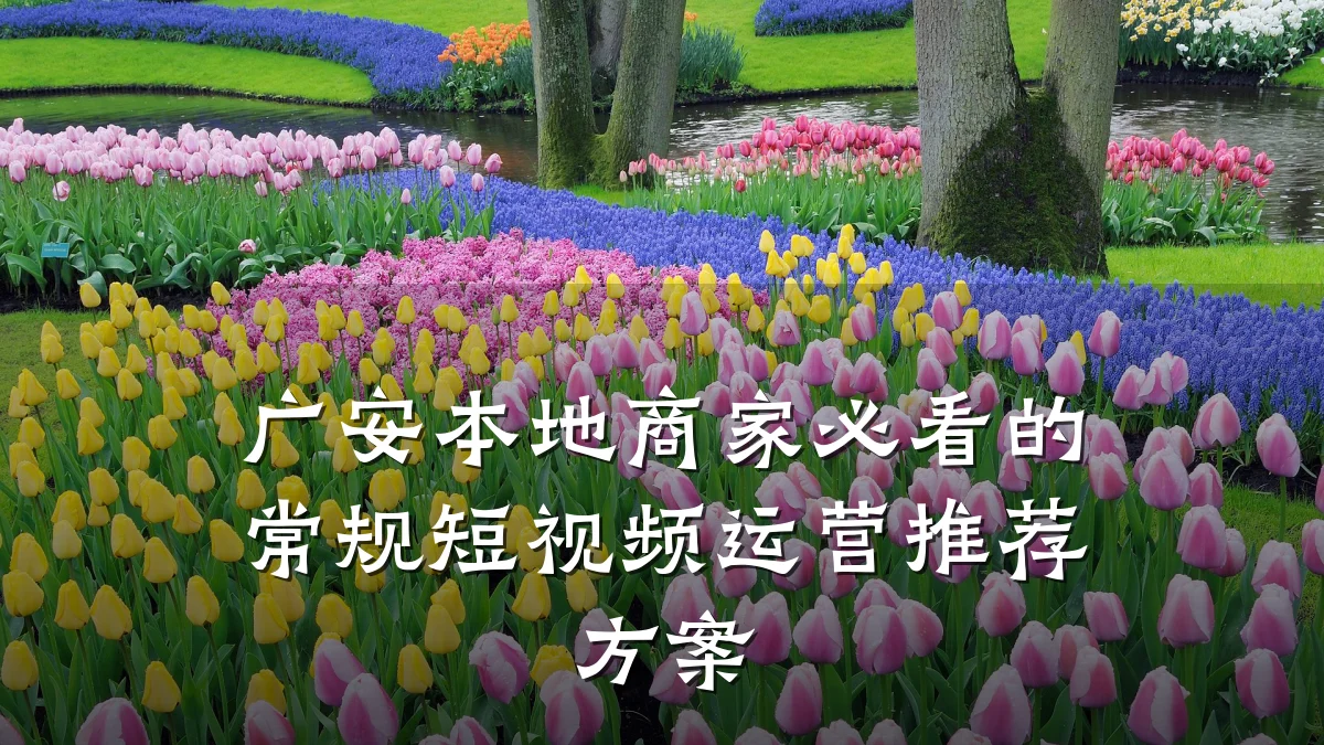 广安本地商家必看的常规短视频运营推荐方案