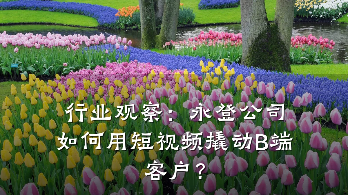 行业观察：永登公司如何用短视频撬动B端客户？