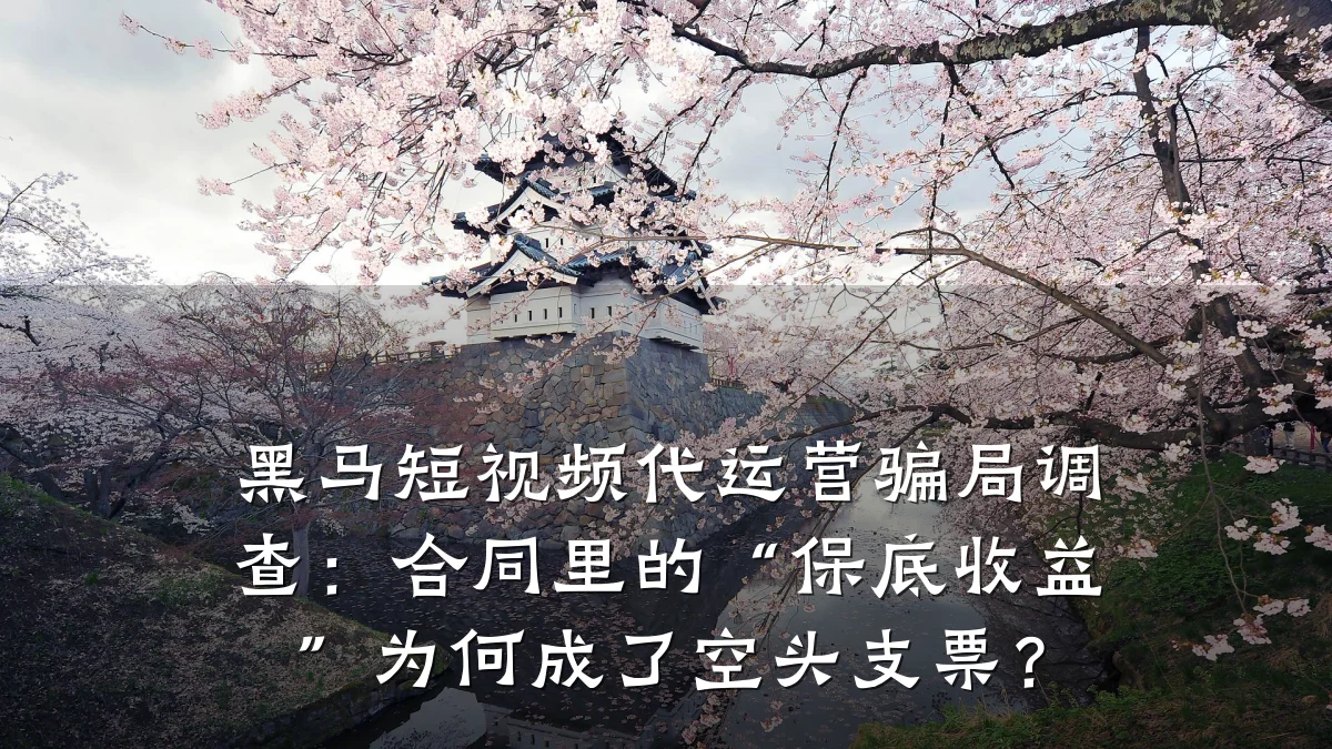 黑马短视频代运营骗局调查：合同里的“保底收益”为何成了空头支票？