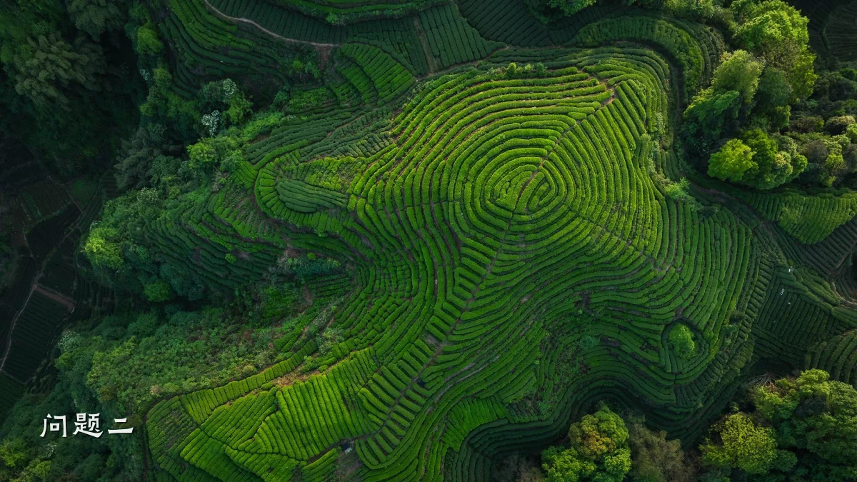 问题二