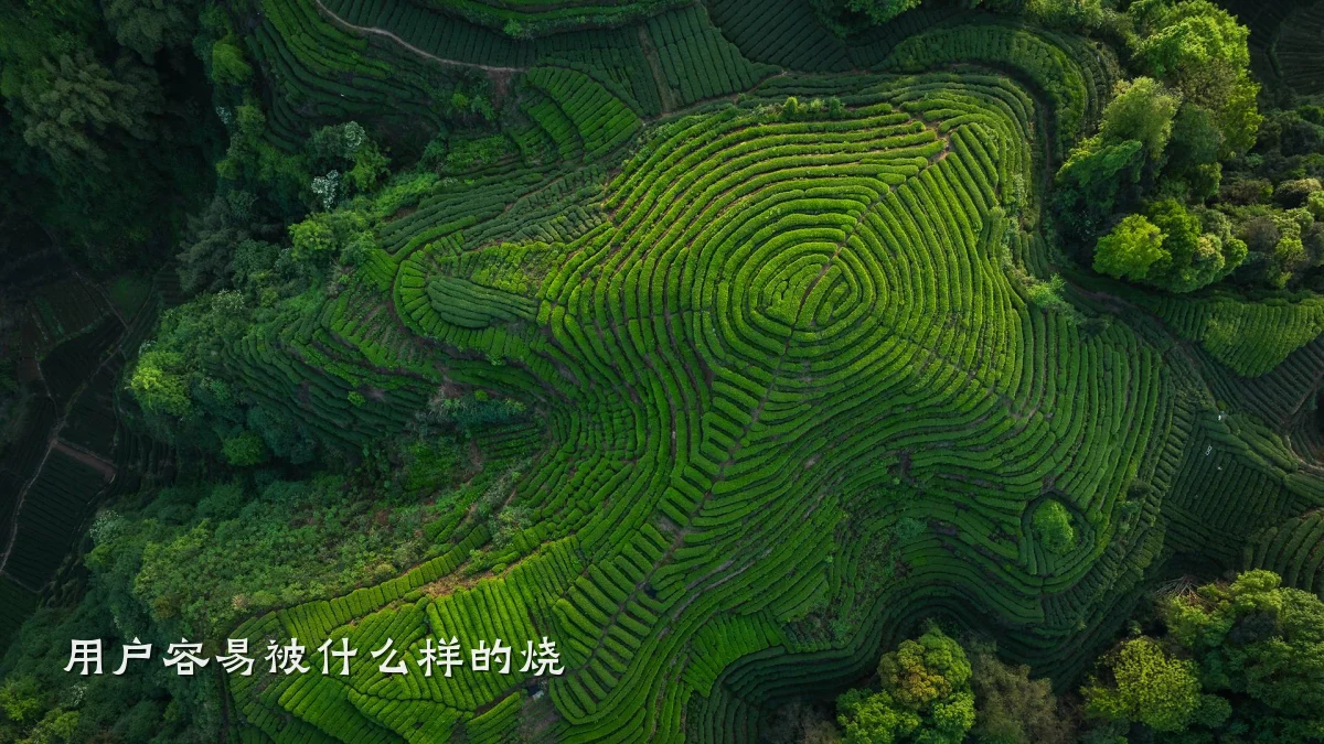 用户容易被什么样的烧