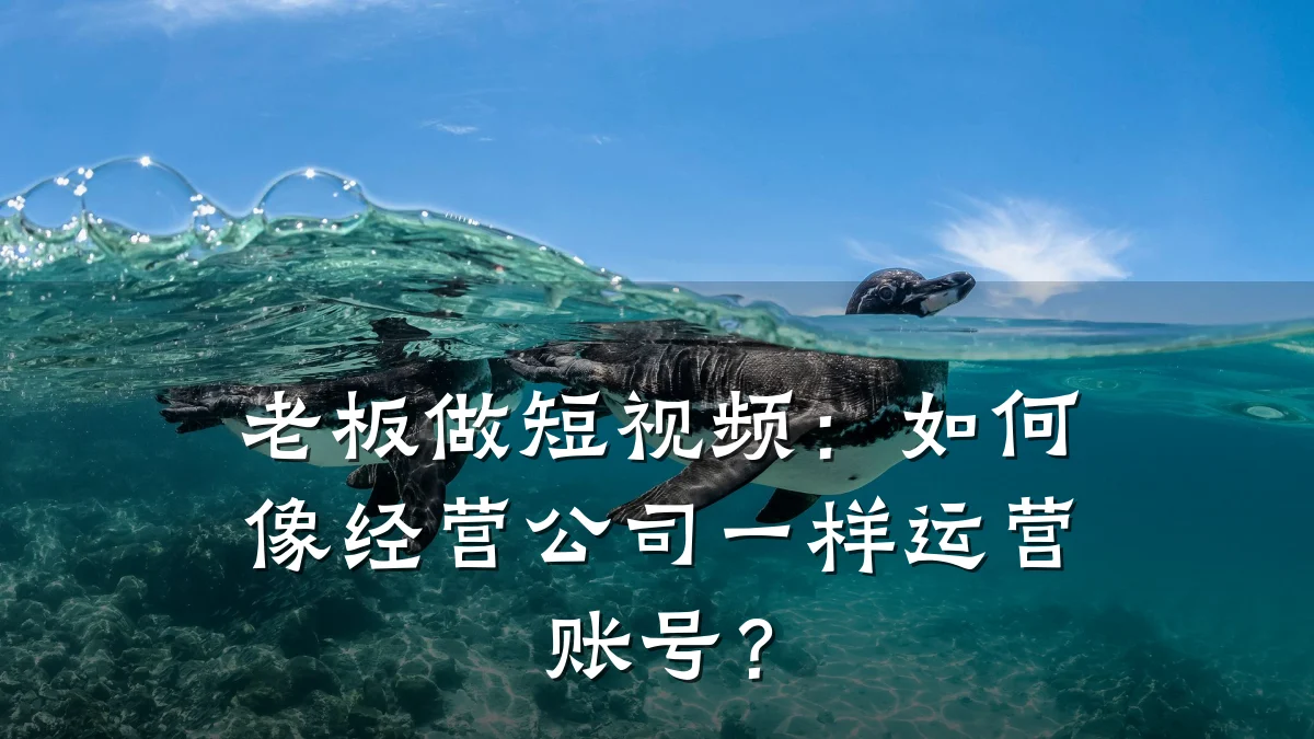 老板做短视频：如何像经营公司一样运营账号？