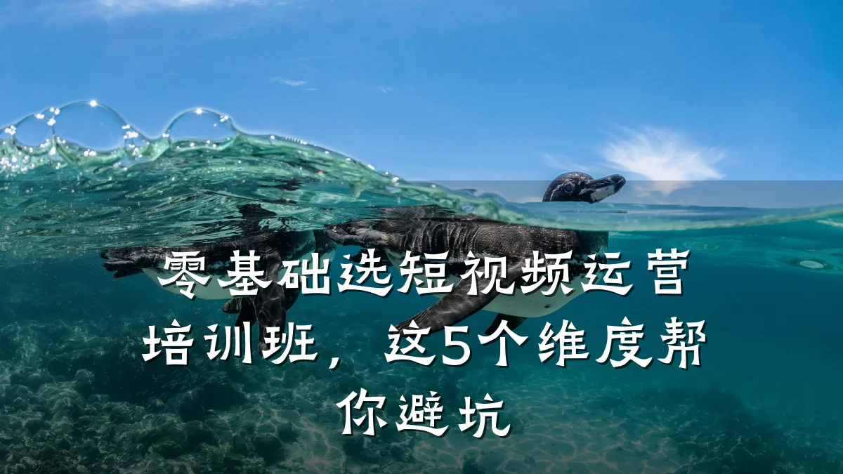 零基础选短视频运营培训班，这5个维度帮你避坑