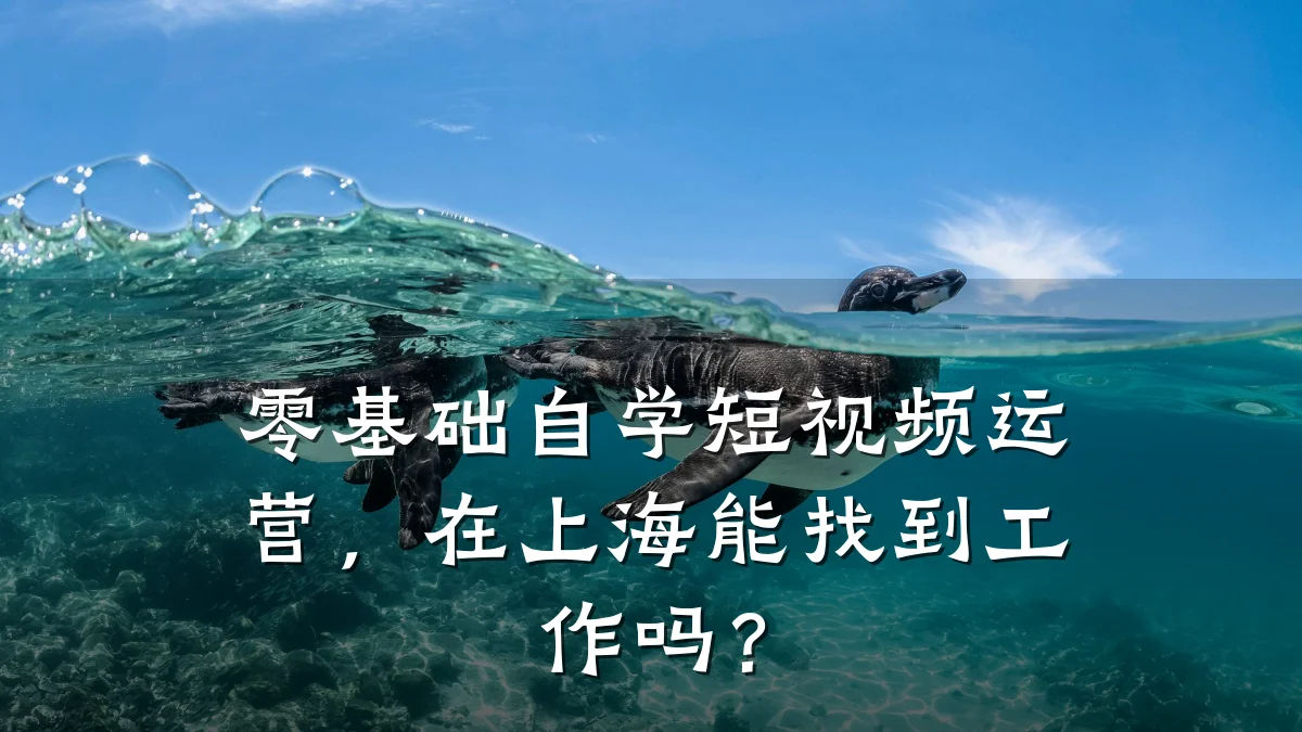 零基础自学短视频运营，在上海能找到工作吗？