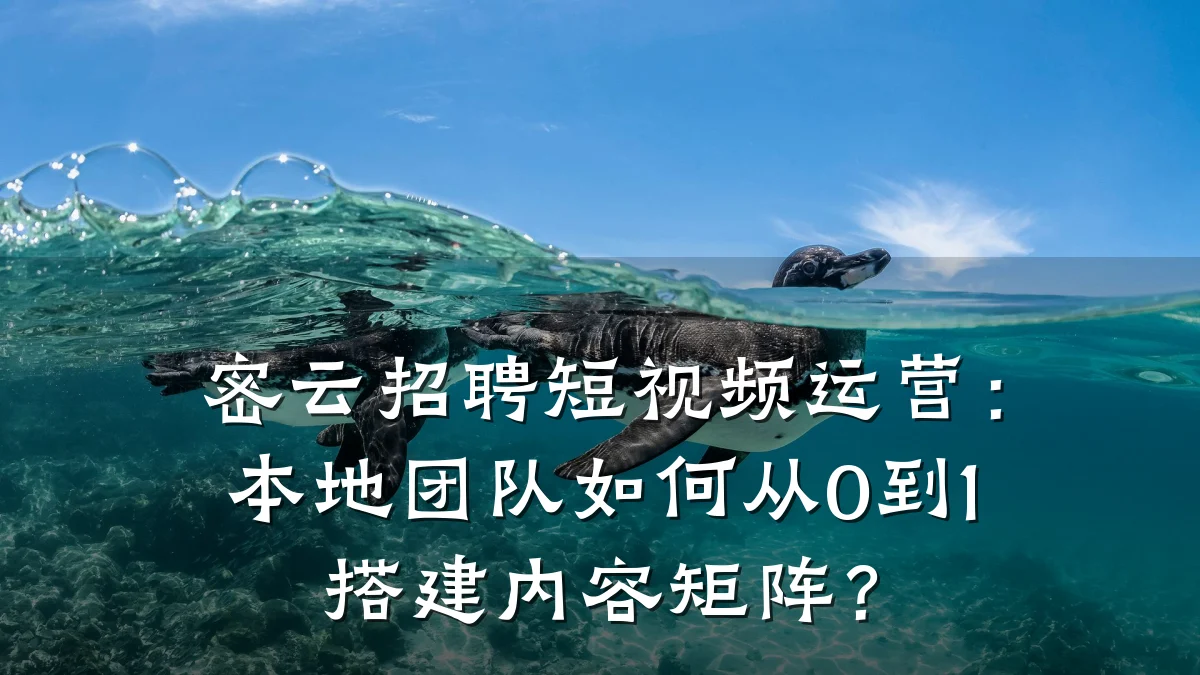 密云招聘短视频运营：本地团队如何从0到1搭建内容矩阵？