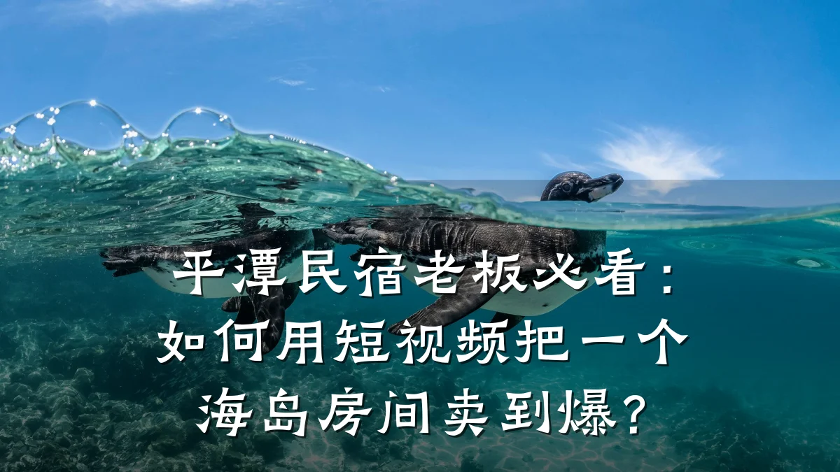 平潭民宿老板必看：如何用短视频把一个海岛房间卖到爆？