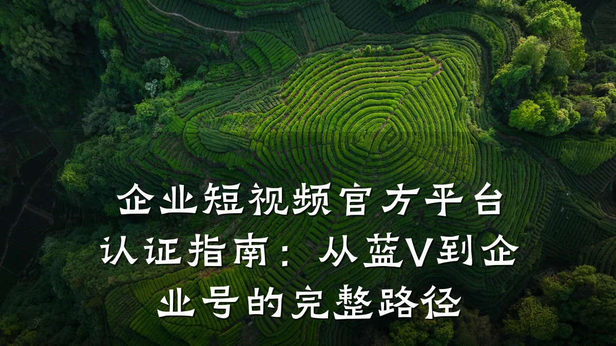 企业短视频官方平台认证指南：从蓝V到企业号的完整路径