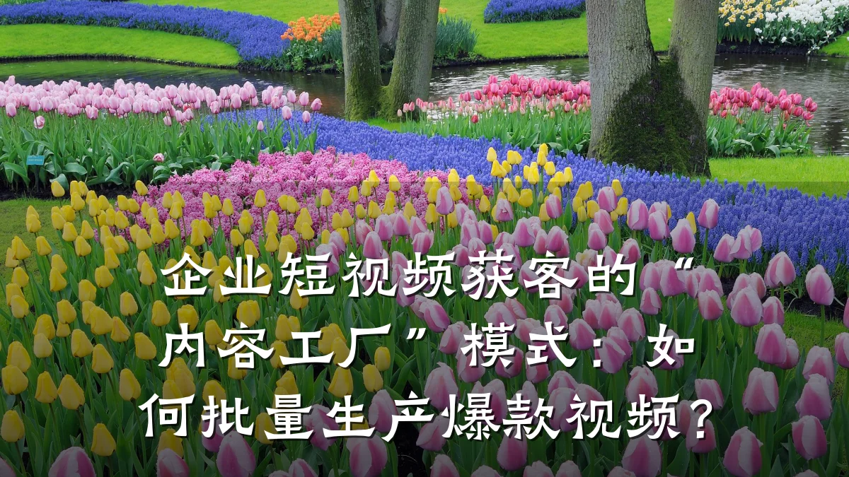 企业短视频获客的“内容工厂”模式：如何批量生产爆款视频？