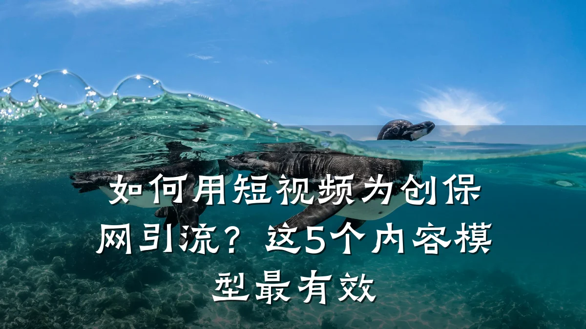 如何用短视频为创保网引流？这5个内容模型最有效