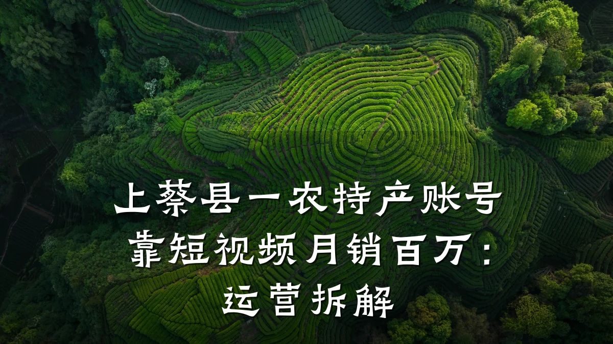 上蔡县一农特产账号靠短视频月销百万：运营拆解