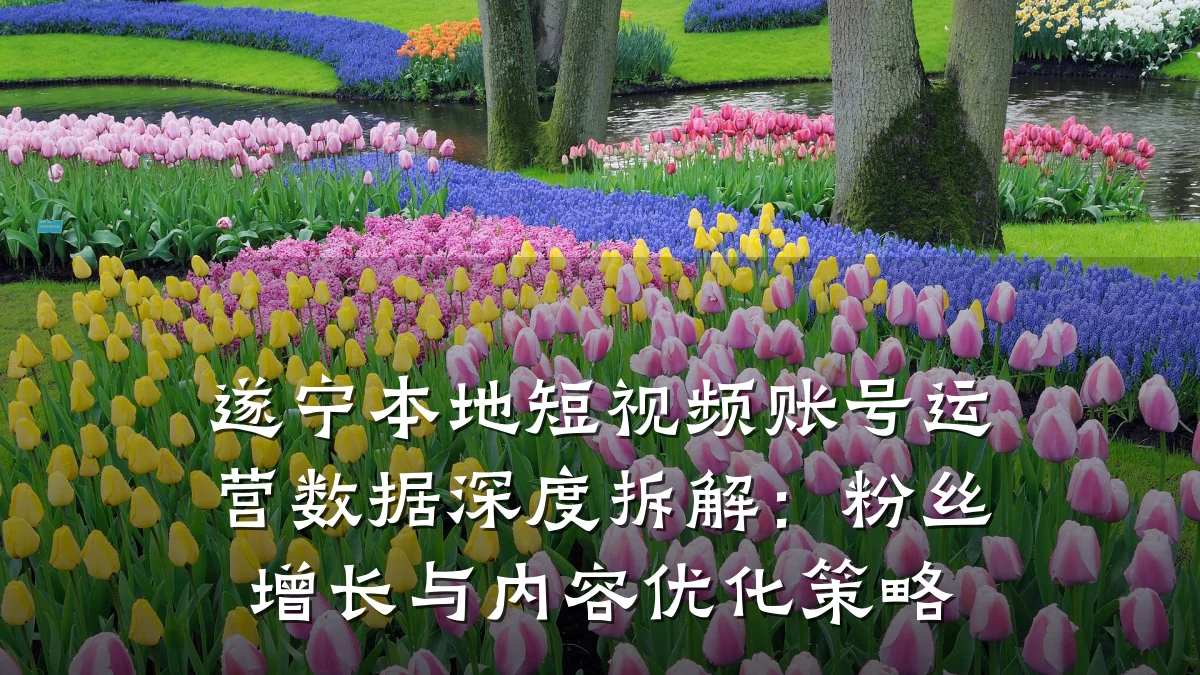 遂宁本地短视频账号运营数据深度拆解：粉丝增长与内容优化策略