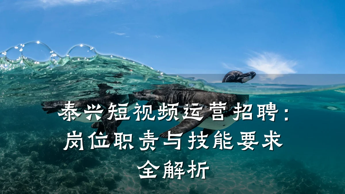 泰兴短视频运营招聘：岗位职责与技能要求全解析