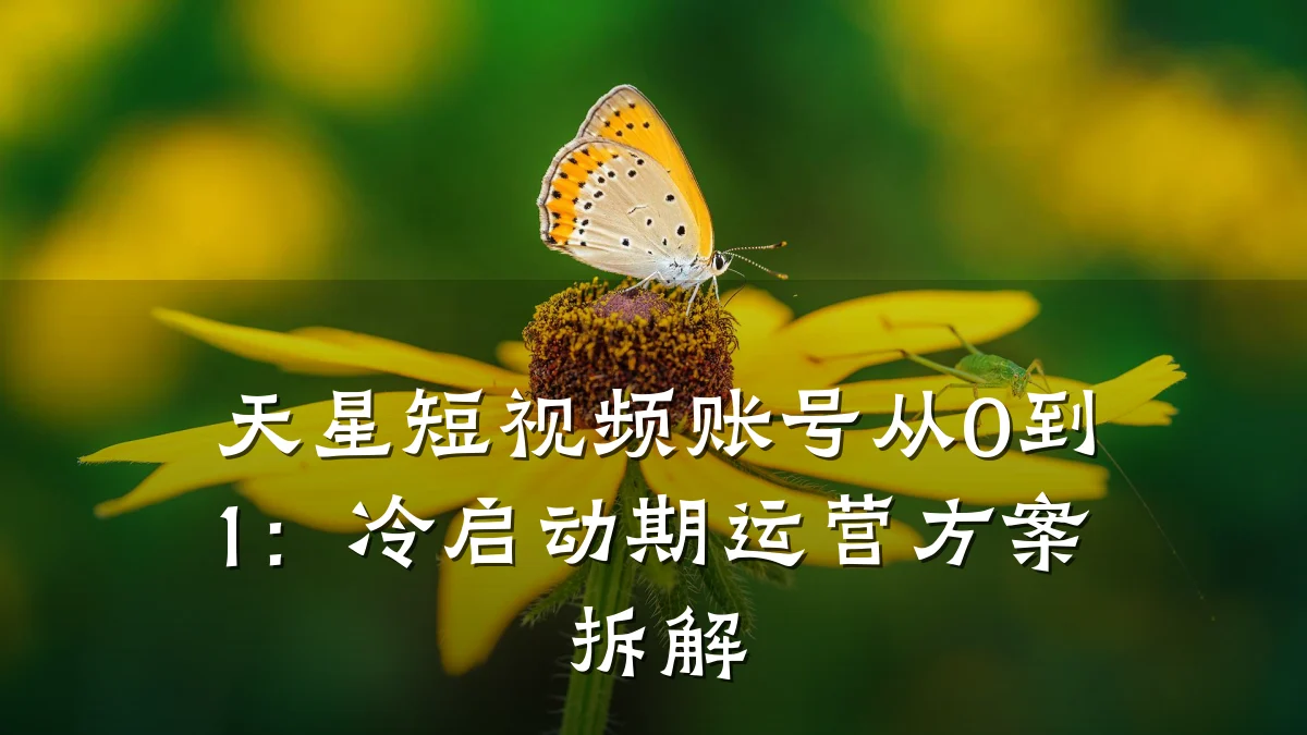 天星短视频账号从0到1：冷启动期运营方案拆解