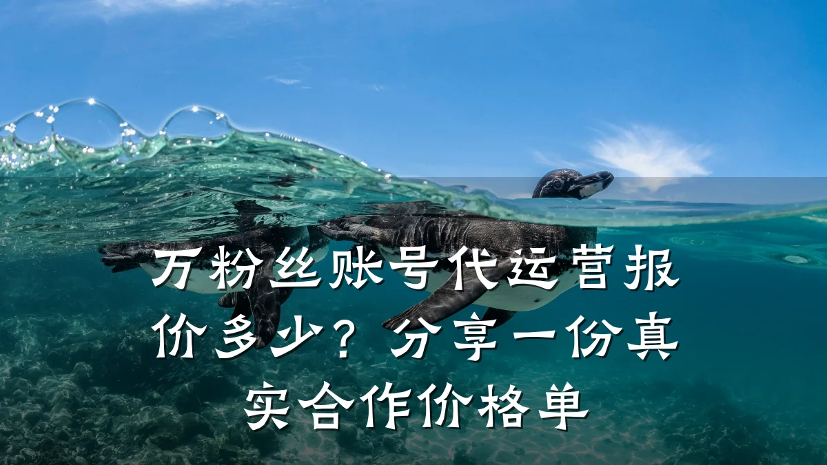 万粉丝账号代运营报价多少？分享一份真实合作价格单