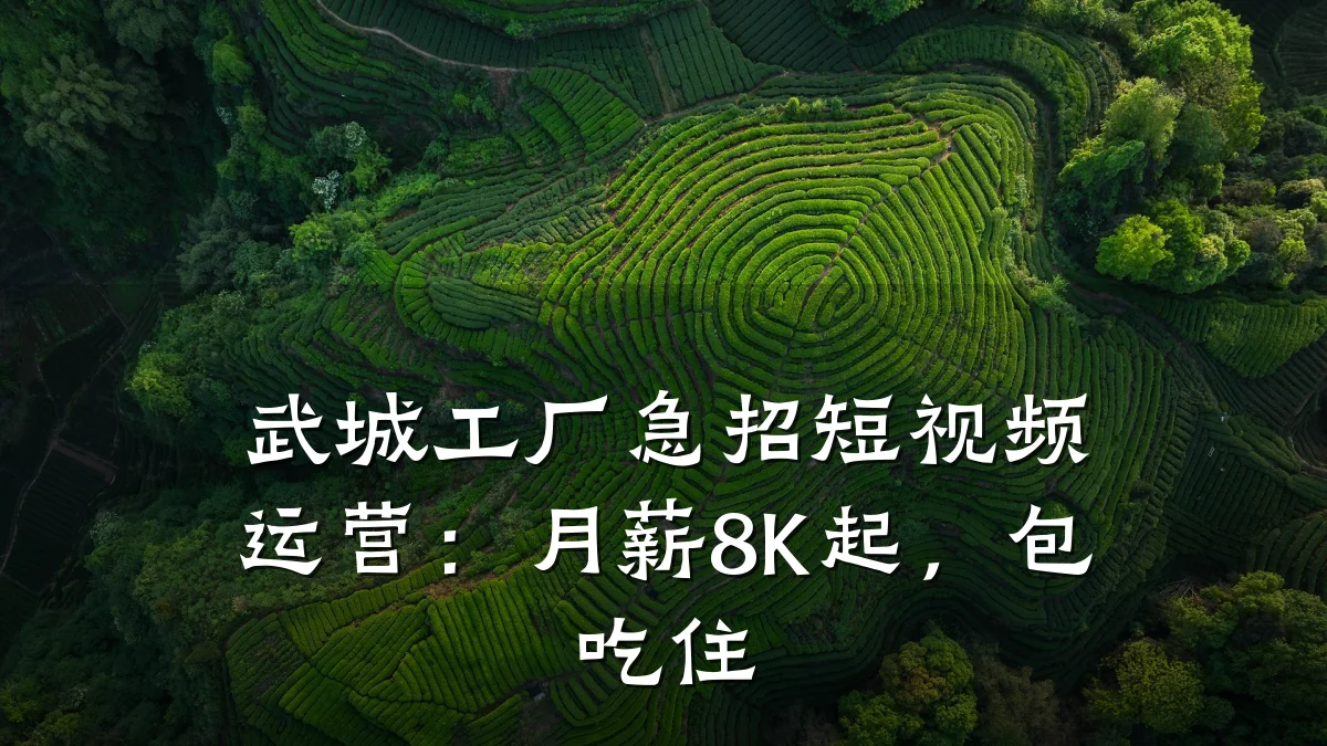 武城工厂急招短视频运营：月薪8K起，包吃住