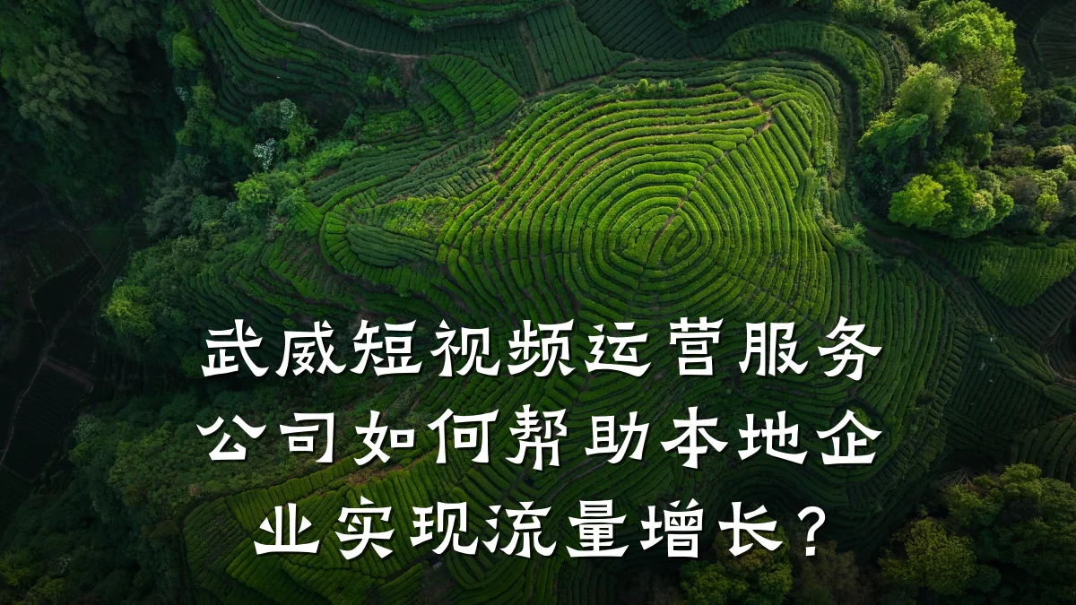 武威短视频运营服务公司如何帮助本地企业实现流量增长？