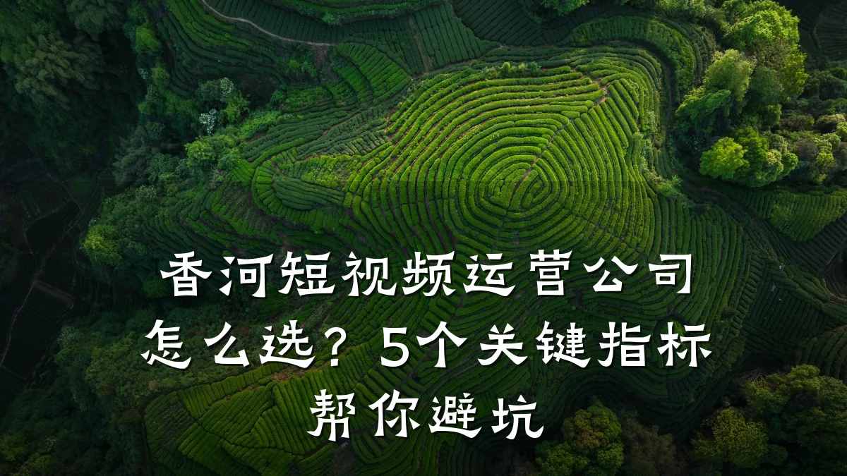 香河短视频运营公司怎么选？5个关键指标帮你避坑