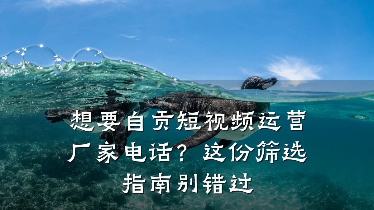 想要自贡短视频运营厂家电话？这份筛选指南别错过