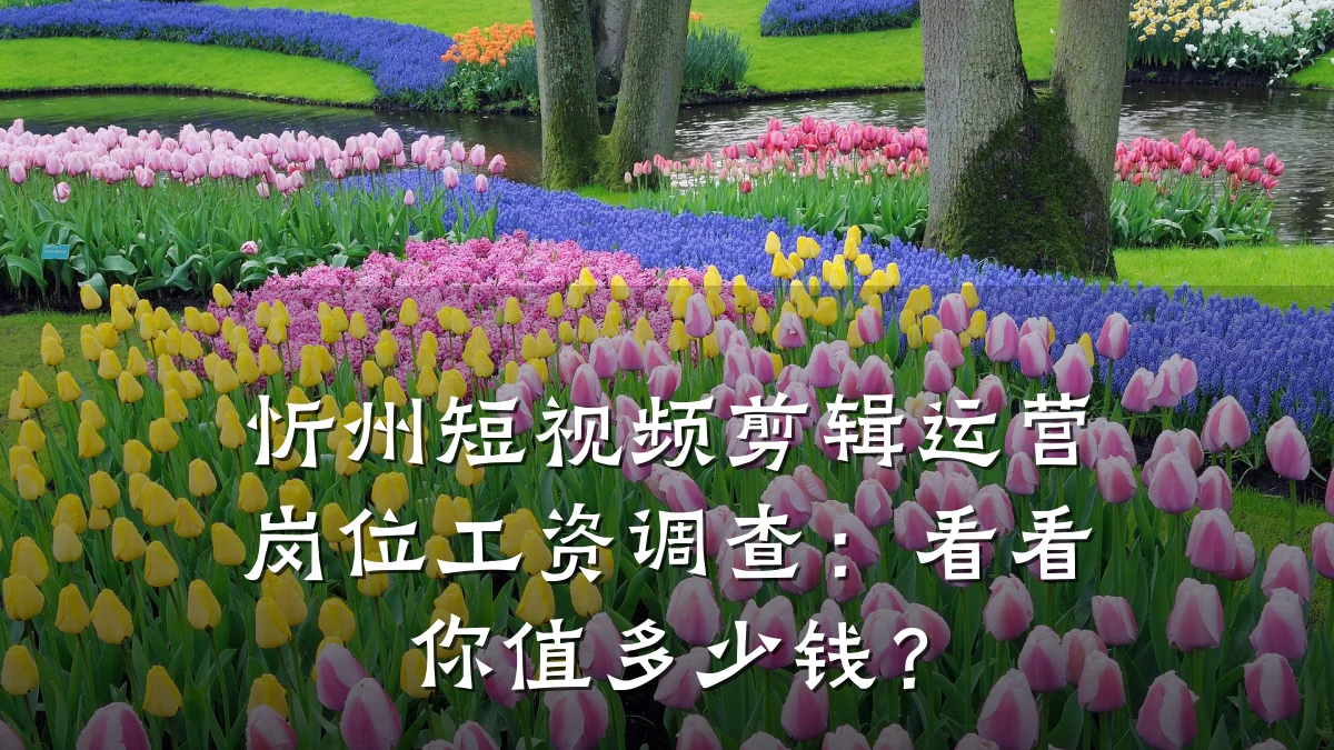 忻州短视频剪辑运营岗位工资调查：看看你值多少钱？