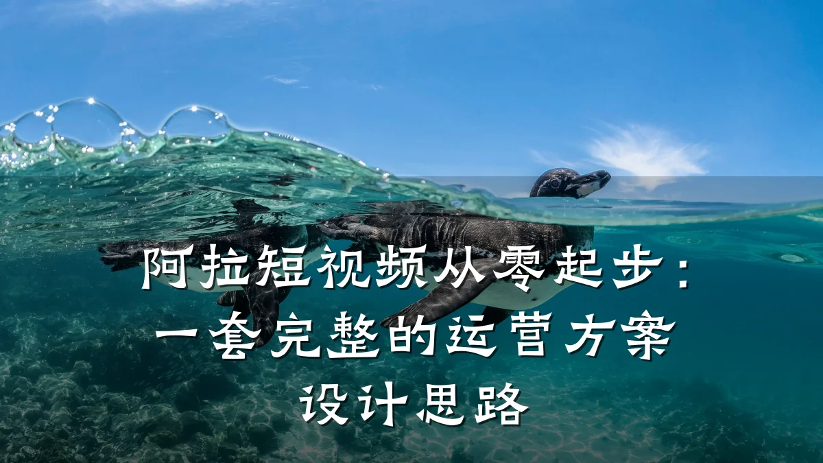 阿拉短视频从零起步：一套完整的运营方案设计思路