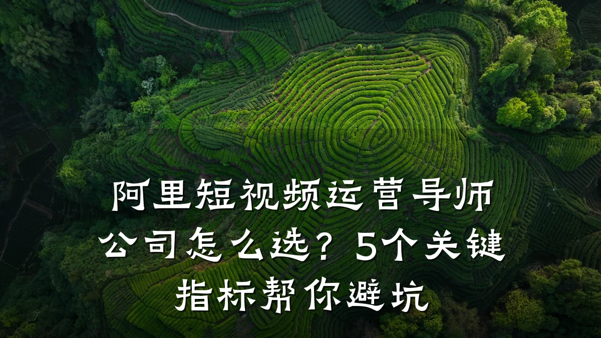 阿里短视频运营导师公司怎么选？5个关键指标帮你避坑