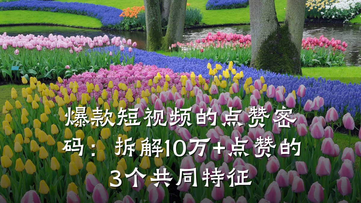 爆款短视频的点赞密码：拆解10万+点赞的3个共同特征