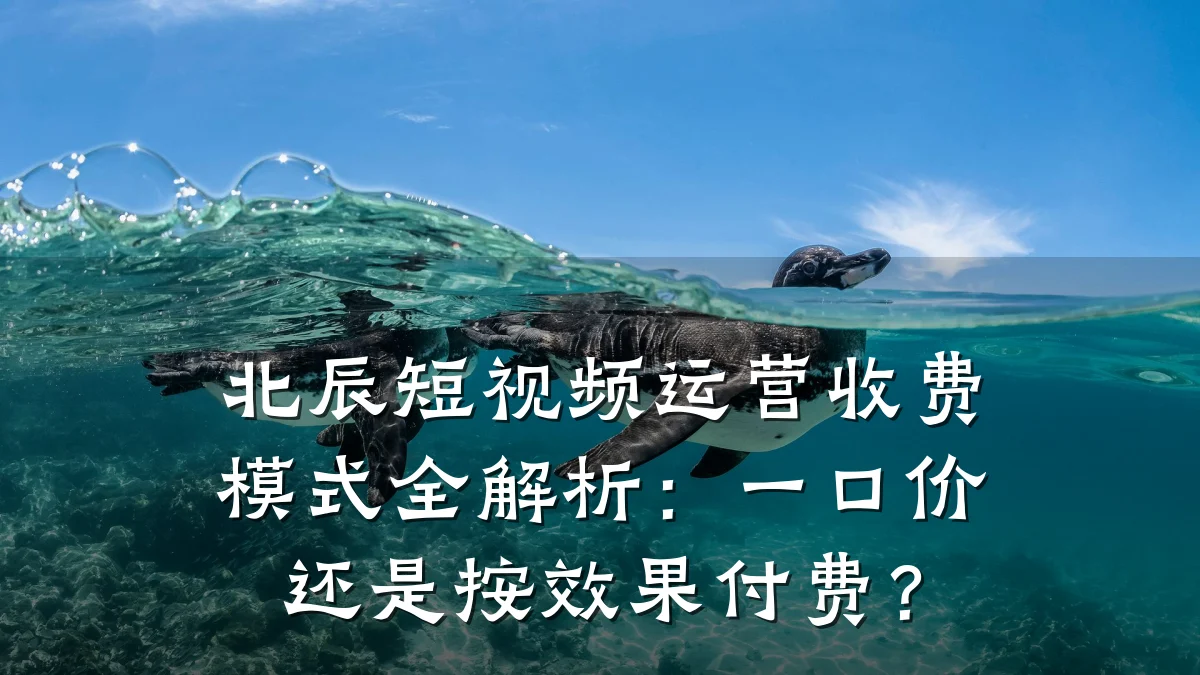北辰短视频运营收费模式全解析：一口价还是按效果付费？