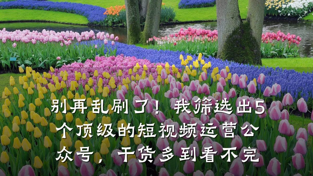 别再乱刷了！我筛选出5个顶级的短视频运营公众号，干货多到看不完